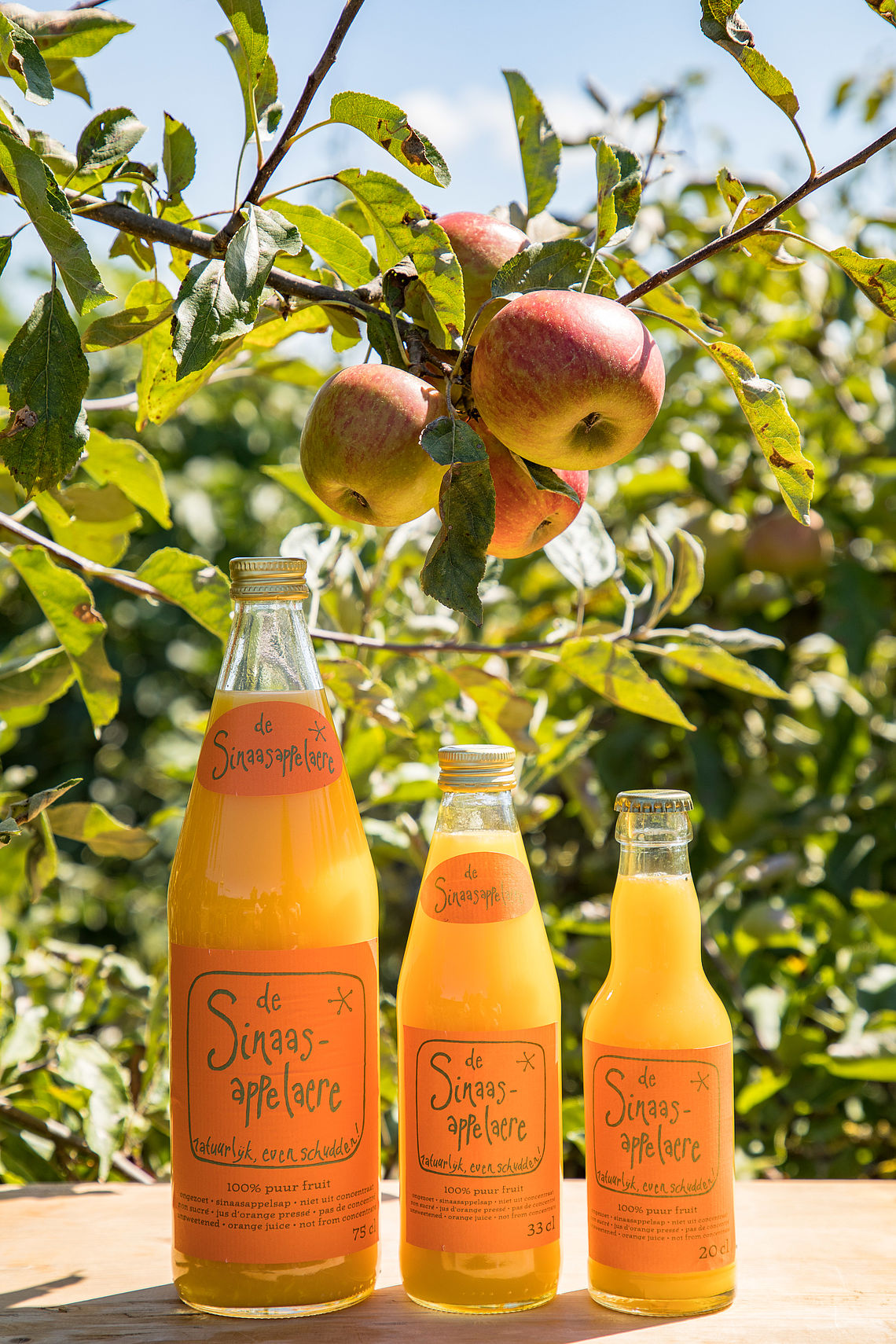 Sinaasappelsap de Sinaasappelaere De Appelaere Sinaasappelsap de Sinaasappelaere De Appelaere